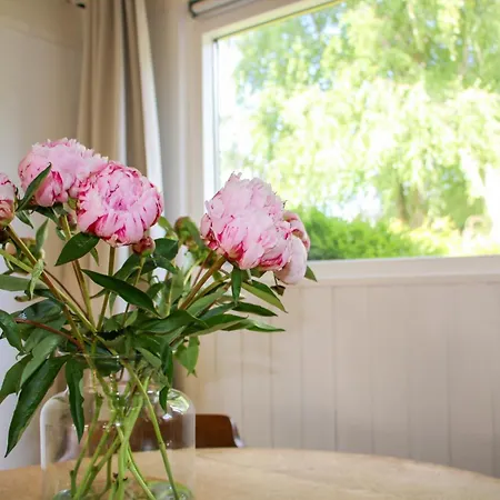 Strandbries Hébergement de vacances Warmenhuizen