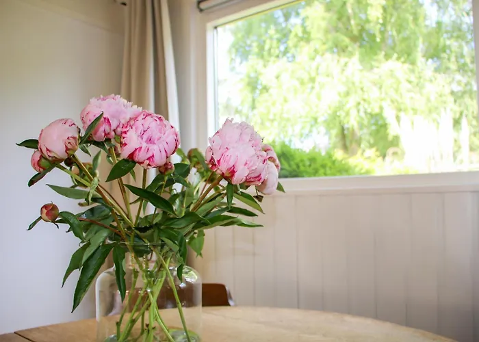 Strandbries Hébergement de vacances Warmenhuizen